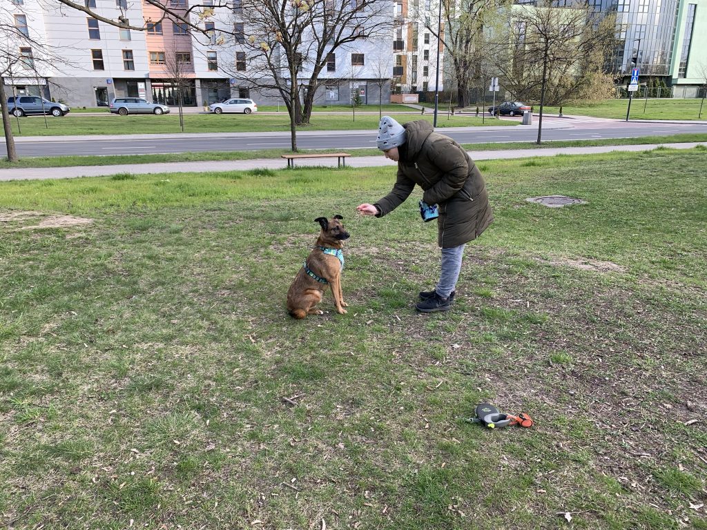„Szukaj!” – wspaniała alternatywa dla komendy „puść”
